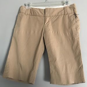 khaki shorts
